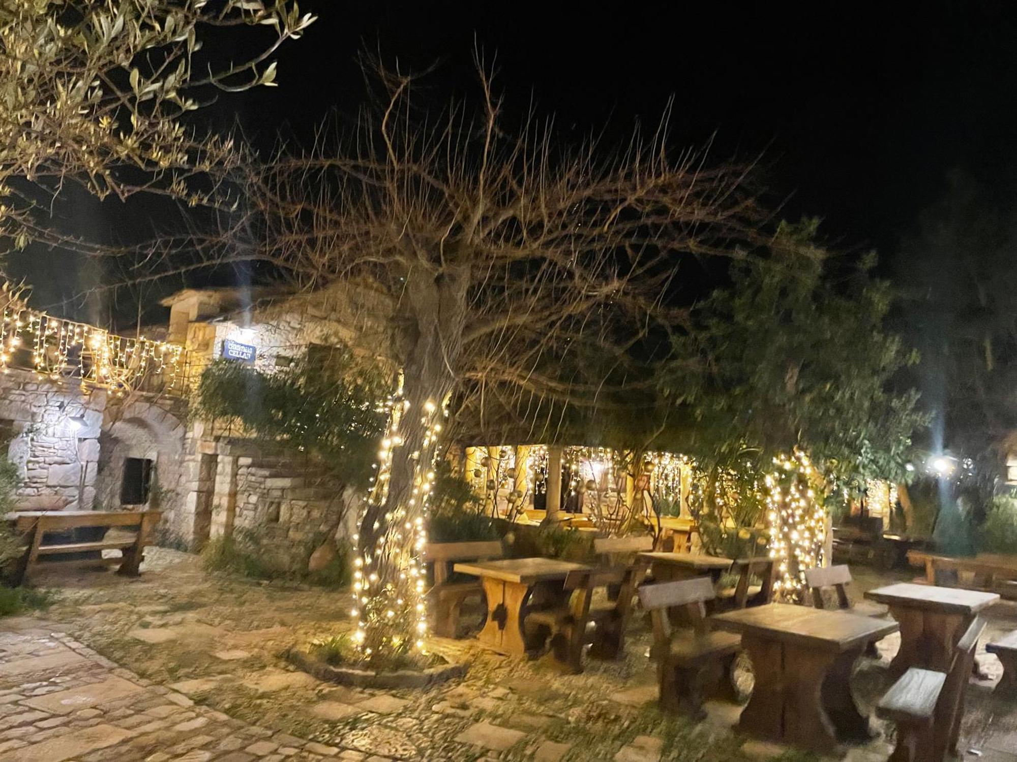 My Adriatic Place With Private Garden And Garage シベニク エクステリア 写真